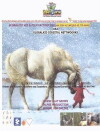 Horse Play (2013)