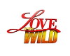 Love in the Wild (2011)