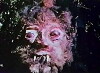 Curse of Bigfoot (1975)