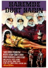 Four Women in the Harem (1965)