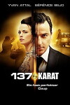 137 Karat - Ein fast perfekter Coup (2014)