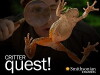 Critter Quest! (2007)