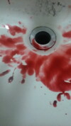 Bloodshed 2 (2016)