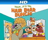 Help!... It's the Hair Bear Bunch! (1971)