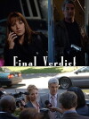 Final Verdict (2009)