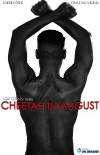 Cheetah in August (2015)