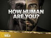 How Human Are You? (2014)