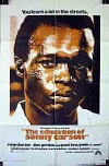The Education of Sonny Carson (1974)