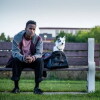 A Stray (2016)