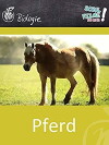 Das Pferd (1964)