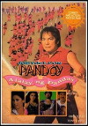 Pandoy: Alalay ng panday (1993)