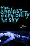 The Endless Possibility of Sky (2012)