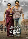 Sailaja Reddy's Son-in-Law (2018)