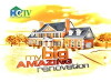 My Big Amazing Renovation (2008)