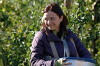 Katarakt (2007)