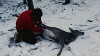 Landscape Suicide (1987)