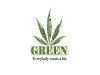 Green (2017)
