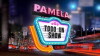 Pamela Todo un Show (2016)