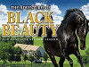 The New Adventures of Black Beauty (1992)