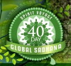 Global Sadhana (2013)