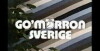 Gomorron Sverige (1977)