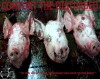 Comfort the Disturbed, Disturb the Comforted (2006)