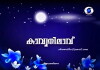 Kavyanilavu (2014)