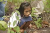 The Forest (2016)