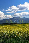 XXVIII VI (2018)