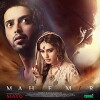 Mah e Mir (2016)