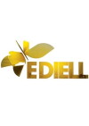 Ediell ne Top Channel (2008)