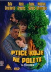 Some Birds Can't Fly (1997)