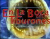 Catalino, en la boca de los tiburones (1992)