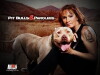 Pit Bulls and Parolees (2009)