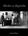 Brcko u Zagrebu (1917)