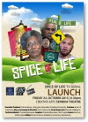 Spice of Life (2015)