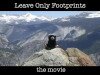 Leave Only Footprints (2010)