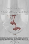 A Natural Disaster (2016)