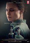 Dove cadono le ombre (2017)