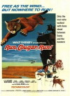 Run, Cougar, Run (1972)