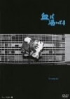 Blood Is Dry (1960)