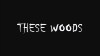 These Woods (2016)