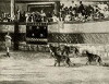 Bar Kochba, the Hero of a Nation (1913)