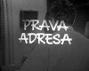 Prava adresa (1968)