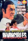 Das tödliche Duell der Shaolin (1977)