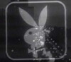 Playboy's Penthouse (1959)