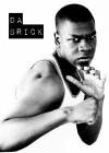 Da Brick (2011)