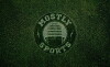 Mostly Sports (2015)