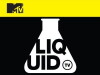 Liquid TV (1999)