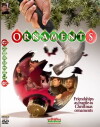 Ornaments (2008)